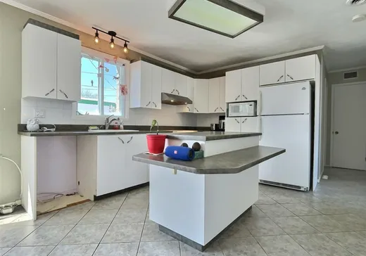 House for sale - 1047 Av. des Bouleaux, Plessisville, G6L 3E7