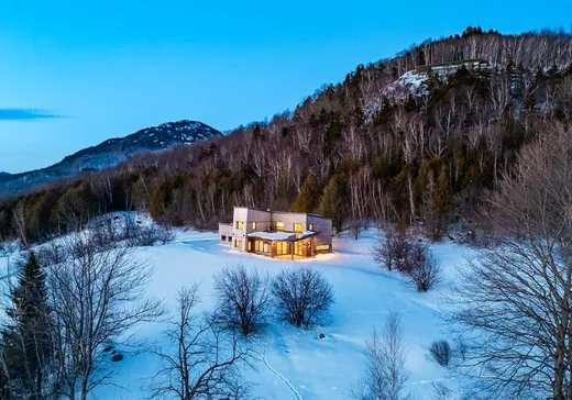 Maison à vendre - 52 Ch. Owl's Head, Mansonville, J0E 1X0