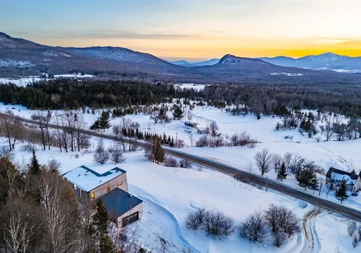 Maison à vendre - 52 Ch. Owl's Head, Mansonville, J0E 1X0