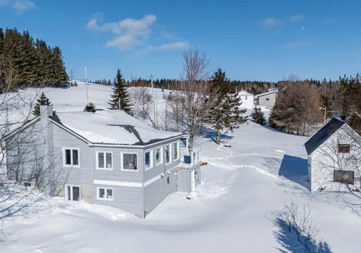 Maison à vendre - 134 Ch. des Bouleaux, Causapscal, G0J 2B0