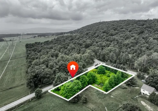 Maison à vendre - 690 7e Rang, Thetford Mines, G0N 1M0