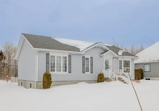 Maison à vendre - 497 Rue Matte, Saint-Marc-des-Carrières, G0A 4B0