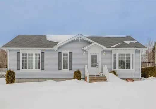 Maison à vendre - 497 Rue Matte, Saint-Marc-des-Carrières, G0A 4B0