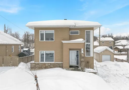 Maison à vendre - 19 Rue Coloniale, Sainte-Catherine-de-la-Jacques-Cartier, G3N 0Y5