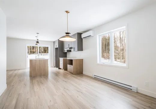 Maison à vendre - 1986 Rue de la Golconda, Sherbrooke, J1H 0N1