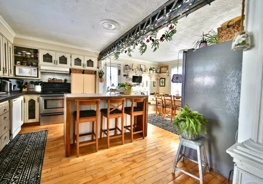 Two or more stories for sale - 354 Rue Principale, Saint-Nazaire-d'Acton, J0H1V0