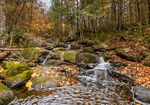 Hobby Farm for sale - 3700 Rg Ste-Anne, Saint-Norbert, J0K 3C0