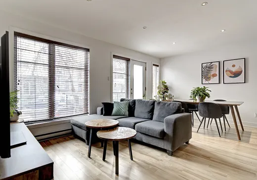 Condo à vendre - 5689 Rue De La Roche, Montréal (Rosemont–La Petite-Patrie), H2S2C5