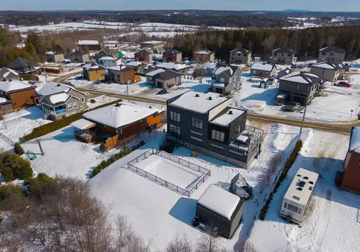 Maison à vendre - 360 Rue des Mélèzes, Cookshire-Eaton, J0B 1M0