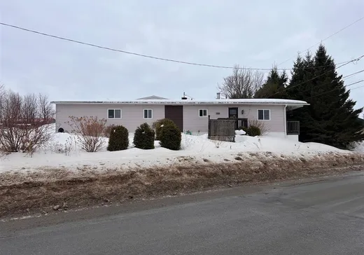 Maison mobile à vendre - 5 Rue Beaudet, Plessisville, G6L4L3