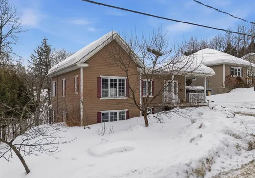 House for sale - 3 Rue Mount, Asbestos, J1M 1X7