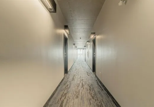 Condo à vendre - 9835 Boul. Leduc, App. 303, Montréal (Centreville), J4Y 0K8