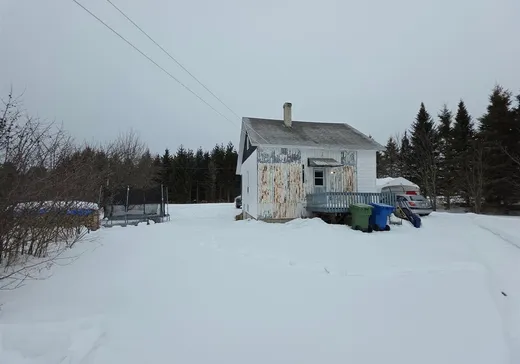 Maison à vendre - 138 Rg St-Jean-Baptiste, Sainte-Aurélie, G0M 1M0