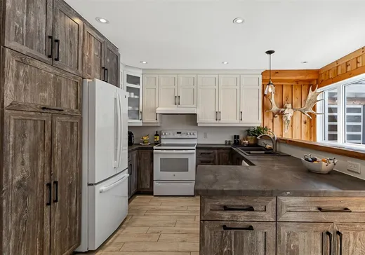 Maison à vendre - 10866 Ch. de la Rivière N., Rivière-Rouge, J0T 1T0