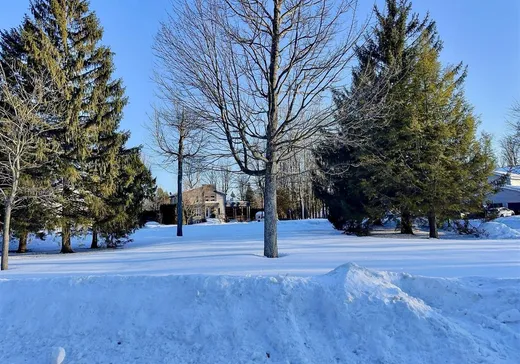 Maison à vendre - 55 Rue Elvin, Drummondville, J2A 1V4