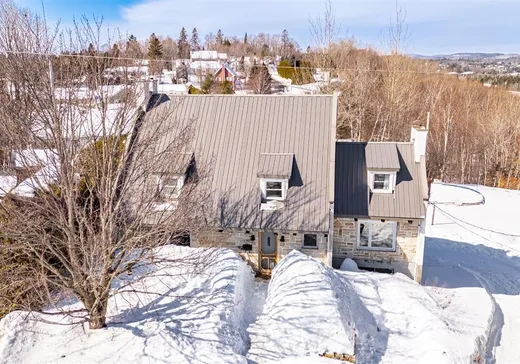 Maison à vendre - 750 Rue Lajeunesse, Sainte-Agathe-des-Monts, J8C 3H3