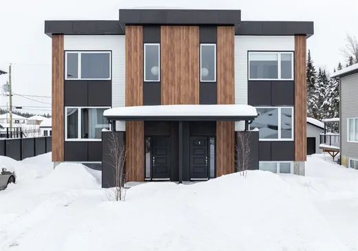 Maison à étages à vendre - 27 Rue Robert-Laplante, Sainte-Catherine-de-la-Jacques-Cartier, G3N3G5