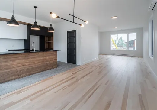 Maison à vendre - 27 Rue Robert-Laplante, Sainte-Catherine-de-la-Jacques-Cartier, G3N 3G5