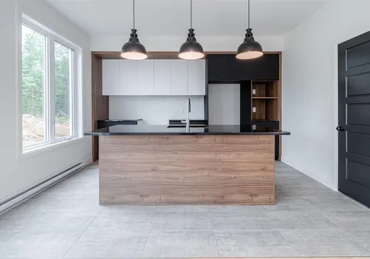 Maison à vendre - 27 Rue Robert-Laplante, Sainte-Catherine-de-la-Jacques-Cartier, G3N 3G5