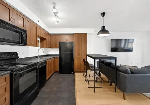 Condo for sale - 1200 Rue St-Jacques, App. 206, Montreal (Downtown), H3C 0E9