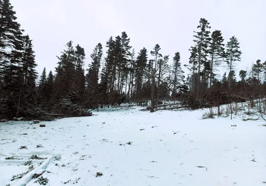 House for sale - 866 Ch. Émile-Rivard, Matane, G4W 7B2