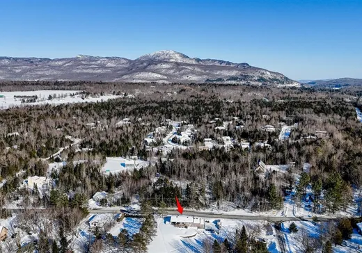 House for sale - 51 Ch. George-Bonnallie, Eastman, J0E 1P0