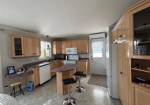 House for sale - 183 Rue Renaud, Victoriaville, G6P 7J9