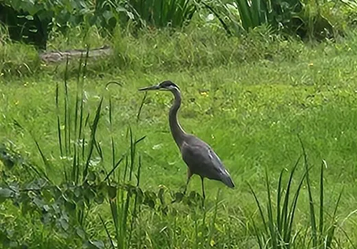 Maison à vendre - 1115 Ch. Hemming, Drummondville, J2B 8S5