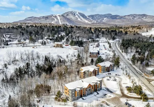 Condo à vendre - 2620 Ch. du Parc, App. 3100, Magog, J1X7A2