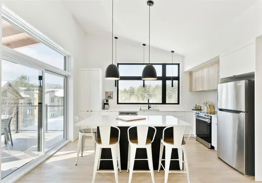 Condo à vendre - 2620 Ch. du Parc, App. 3100, Magog, J1X 7A2