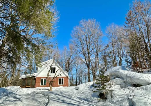 House for sale - 132 Rg St-André, Saint-André-Avellin, J0V 1W0