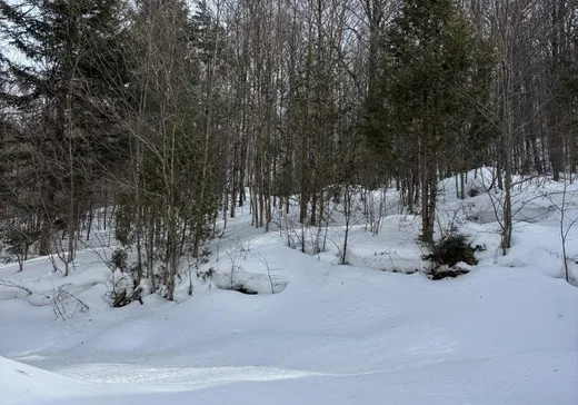 Maison à vendre - 29 Rue des Marguerites, Wentworth, J8H 0E1