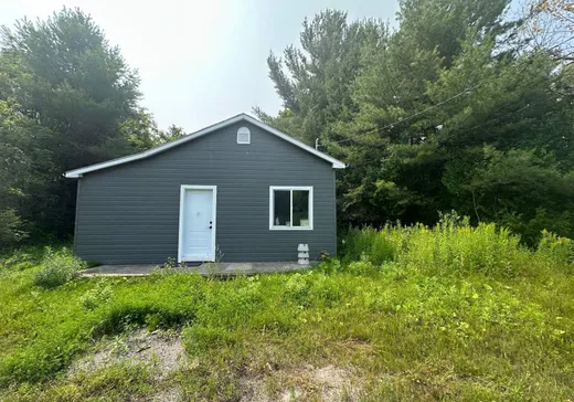 House for sale - 16225 Route 335, Chertsey, J0K 3K0