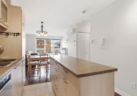 Condo for sale - 4570 Rue Hochelaga, Montreal (Mercier/Hochelaga-Maisonneuve), H1V 1C5