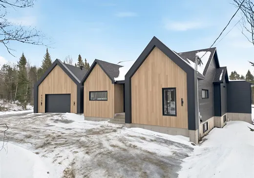 Maison à vendre - 856 Rue du Boisé, Saint-René, G0M 1Z0