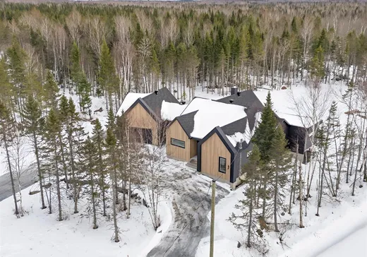 Maison à vendre - 856 Rue du Boisé, Saint-René, G0M 1Z0