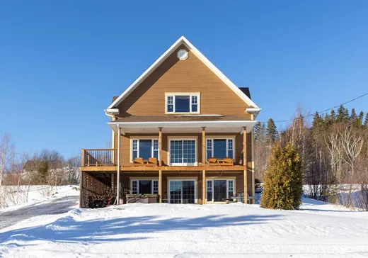 Maison à étages à vendre - 358 Ch. Dionne, Saint-Mathieu-de-Rioux, G0L3T0