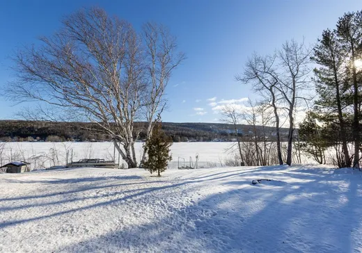 Maison à vendre - 358 Ch. Dionne, Saint-Mathieu-de-Rioux, G0L 3T0