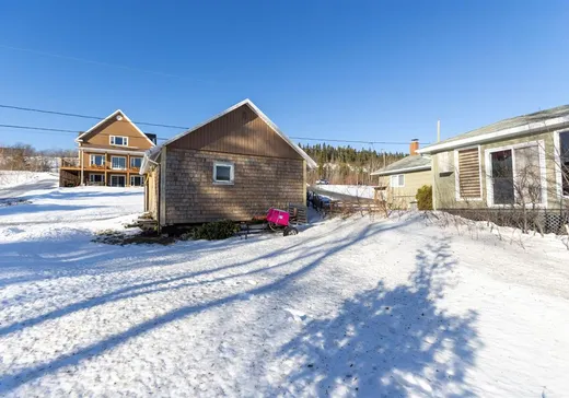 Maison à vendre - 358 Ch. Dionne, Saint-Mathieu-de-Rioux, G0L 3T0