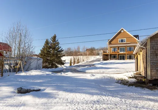 Maison à vendre - 358 Ch. Dionne, Saint-Mathieu-de-Rioux, G0L 3T0