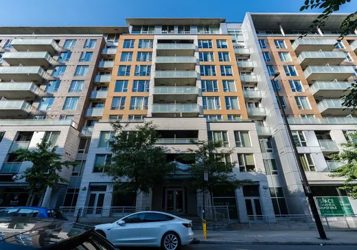 Condo à vendre - 1235 Rue Bishop, App. 803, Montréal (Ville-Marie), H3G0A6