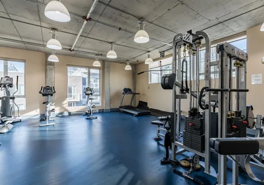 Condo à vendre - 1235 Rue Bishop, App. 803, Montréal (Ville-Marie), H3G 0A6