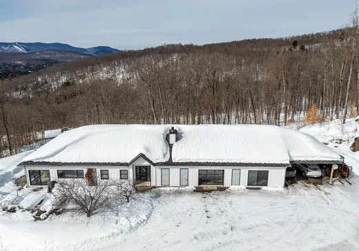 House for sale - 441 Ch. du Lac-Rossignol, Lake Superior, J0T 1J0