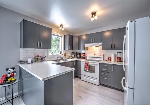 House for sale - 1010 Rue Estelle, Mont-Tremblant, J8E 2N9