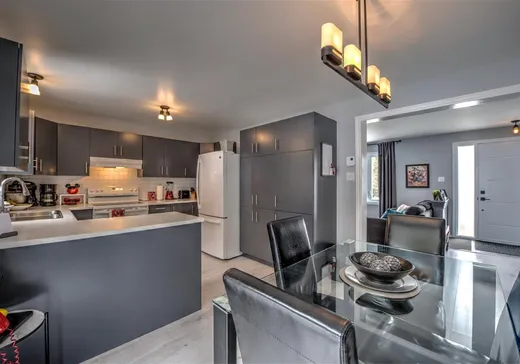 House for sale - 1010 Rue Estelle, Mont-Tremblant, J8E 2N9