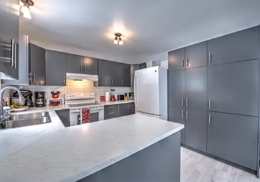 House for sale - 1010 Rue Estelle, Mont-Tremblant, J8E 2N9