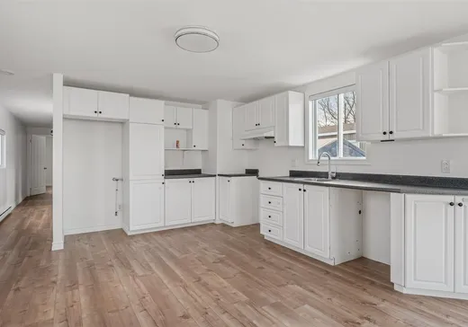 Loft à vendre - 20 Rue Charlotte, Château-Richer, G0A 1N0