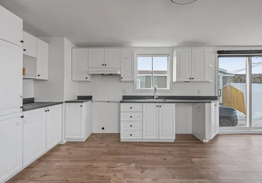 Loft à vendre - 20 Rue Charlotte, Château-Richer, G0A 1N0