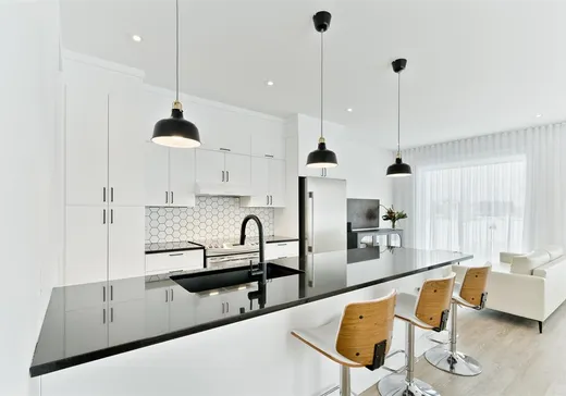 House for sale - 3842 Rue Charles-Hamel, Sherbrooke, J1L 1M6