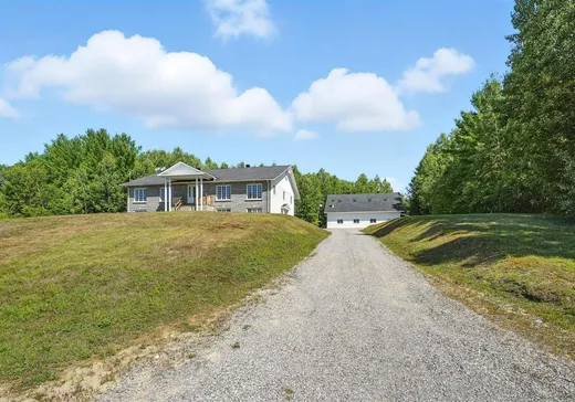 House for sale - 54 Rue France, Mansfield-et-Pontefract, J0X 1R0